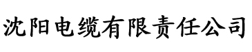 无限资源w国产大片电缆厂logo